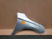 Kotflügel Rechts Vorne Skoda Fabia IV (PJ3) Schrägheck 5-drs 1.0 TSI 12V (DLAA) 2023-01