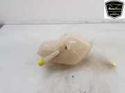 Ausgleichbehälter 217114EA0A Renault Kadjar (RFEH) SUV 1.2 Energy TCE 130 (H5F-408(H5F-F4)) 2017-05