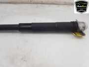 Stoßdämpfer Rechts Hinten 2Q0512013EA Volkswagen Taigo SUV 1.0 TSI 110 12V (DLAA) 2023 DLAA