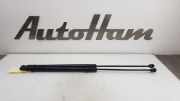Gasdruckfedern Set Hinten AM51U406A10AB Ford Grand C-Max (DXA) Großraumlimousine 1.6 TDCi 16V (T1DA) 2010-10