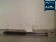 Gasdruckfedern Set Hinten 8731P9 Peugeot 207 SW (WE/WU) Kombi 1.6 HDi 16V (DV6TED4/FAP(9HZ)) 2007