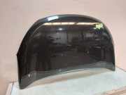 Motorhaube 651007793R Dacia Lodgy (JS) Großraumlimousine 1.2 TCE 16V (H5F-408) 2014-01