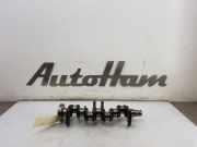 Kurbelwelle NIETAFLEESBAAR Skoda Fabia III Kombi (NJ5) Kombi 5-drs 1.2 TSI 16V Greentech (CJZD) 2017