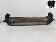 Ladeluftkühler 89067897 Fiat Doblo Cargo (223) Van 1.3 D 16V Multijet DPF (223.A.9000) 2009-06