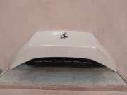 Kotflügel Links Vorne 1611655080 Peugeot Boxer (U9) Chassis-Cabine 2.2 Blue HDi 165 (DW12RUC(4HH)) 2020