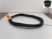 Türgummis Rechts Hinten 5H4867914A9B9 Volkswagen Golf VIII (CD1) Schrägheck 1.0 TSI 12V (DLAA) 2021 DLAA