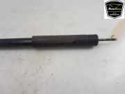 Stoßdämpfer Rechts Hinten 418054PA0 Suzuki Vitara (LY/MY) SUV 1.0 Booster Jet Turbo 12V (K10C) 2019