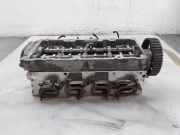 Zylinderkopf 04L103044AF Volkswagen Transporter T6 Van 2.0 TDI 150 (DNAA) 2024-05 DNAA