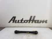 Bremsanker Stange Links Hinten 55260F2BA0 Hyundai Kona (OS) SUV 1.6 GDi HEV 16V (G4LE) 2020-05