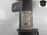 Stoßdämpfer Rechts Vorne 9831168080 Peugeot 208 II (UB/UH/UP) Schrägheck 5-drs 1.2 Vti 12V PureTech 75 (EB2FAD(HMH)) 2022-08