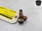 Kraftstoff-Injector 94860513102 Porsche Cayenne (9PA) SUV 4.5 V8 32V Turbo (M48.50) 2004-12