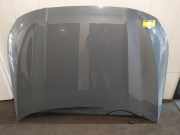 Motorhaube 41009492428 BMW 1 serie (F40) Schrägheck 118i 1.5 TwinPower 12V (A0001E1I118i 1.5 TwinPower 12V) 2020-04