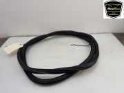 Türgummis Rechts Hinten 5GE867914B Volkswagen Golf VII (AUA) Schrägheck e-Golf (EBSA) 2018 EBSA