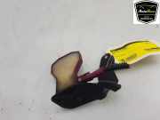 Antenne Verstärker 8V0035507 Audi A4 Avant (B9) Kombi 3.0 TDI V6 24V (CSWB) 2017-05