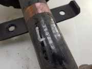 Stoßdämpfer Rechts Vorne 543028406R Renault Zoé (AG) Schrägheck 5-drs R135 (5AQ-605) 2022-06