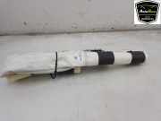 Dachairbag Links 103675700H Tesla Model X SUV 75D (A0003K8775D) 2018-03