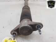 Stoßdämpfer Rechts Hinten 104446101E Tesla Model 3 Limousine Long Range Dual Motor (3D1) 2019