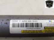 Stoßdämpfer Rechts Hinten A2533201001 Mercedes-Benz GLC (X253) SUV 2.0 260 16V 4-Matic (M274.920) 2019-06