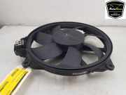 Lüfter 214812415R Renault Scénic III (JZ) Großraumlimousine 2.0 16V CVT (M4R-713) 2012-10