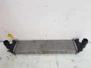Ladeluftkühler 31367277 Ford Transit Van 2.0 TDCi 16V Eco Blue 170 (BLFB) 2022-02