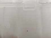 Ausgleichbehälter 50553219 Alfa Romeo Stelvio (949) SUV 2.0 T 16V Q4 (55273835(Euro 6)) 2022-04