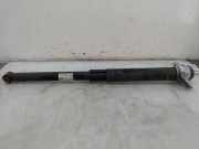 Stoßdämpfer Links Hinten JX6118080EAD Ford Focus 4 Schrägheck 1.0 Ti-VCT EcoBoost 12V 125 (B7DA) 2019-01