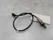 Lambdasonde LX619G444BB Ford Kuga III (DFK) SUV 2.5 PHEV 16V (BGDA) 2023-06