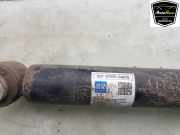 Stoßdämpfer Rechts Hinten Q0755300Q4070 Kia Niro I (DE) SUV E-Niro 64 kWh (EM16) 2020-11