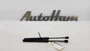 Gasdruckfedern Set Hinten 1S6827550D Volkswagen Up! (121) Schrägheck 1.0 12V 60 (CHYA) 2013-12 CHYA