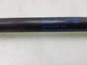 Gasdruckfeder Rechts Vorne 4KE82335903S Audi E-Tron (GEN) SUV 55 quattro (EASA) 2019-12