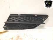 Stoßstangengitter 51117138417 BMW 3 serie Touring (E91) Kombi 320i 16V (N43-B20A) 2010