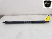 Heckklappenmotor 51247298984 BMW 3 serie Gran Turismo (F34) Schr?gheck 320i 2.0 16V (N20-B20B) 2014-05