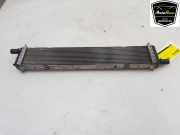 Radiator 214108020R Renault Clio V (RJAB) Schrägheck 5-drs 1.6 E-Tech 145 16V (H4M-632(H4M-C6)) 2023-03