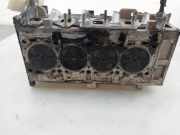 Zylinderkopf 55208388 Fiat Punto Evo (199) Schrägheck 1.3 JTD Multijet 85 16V (199.B.4000(Euro 5)) 2011-11