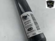 Stoßdämpfer Rechts Hinten 9831182580 Opel Corsa F (UB/UH/UP) Schrägheck 5-drs 1.2 12V 75 (F12XEL(EB2FD)) 2020