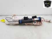 Dachairbag Links 100526100E Tesla Model S Liftback 75 (L1S) 2016-12
