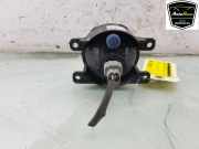 Nebelscheinwerfer Links Vorne 89207254 Mercedes-Benz Citan (415.6) Van 1.5 108 CDI (OM607.951(K9K)) 2013-10