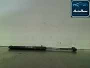 Gasdruckfedern Set Hinten Fiat Punto II (188) Schrägheck 1.2 60 S 3-Drs. (188.A.4000) 2002