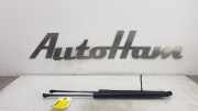 Gasdruckfedern Set Hinten 5G6827550C Volkswagen Golf VII (AUA) Schrägheck 1.4 TSI BlueMotion Technology 125 16V (CZCA) 2017-06 CZCA