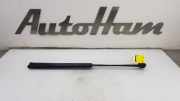 Gasdruckfedern Set Hinten H1BBA406A10AE Ford Fiesta 7 Schrägheck 1.0 EcoBoost 12V 100 (SFJK) 2017