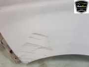 Kotflügel Links Vorne 93188420 Nissan Primastar Van 2.5 dCi 150 16V (G9U-632) 2007