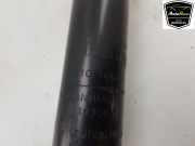 Stoßdämpfer Rechts Hinten 562107146R Dacia Sandero III Schrägheck 1.0 TCe 90 12V (H4D-470(H4D-E4)) 2022-11