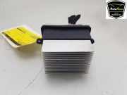 Heizwiderstand 7701209850 Renault Zoé (AG) Schrägheck 5-drs 65kW (5AQ-601) 2013-03