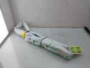 Dachairbag Rechts 00505353410 Alfa Romeo Stelvio (949) SUV 2.0 T 16V Q4 (55273835(Euro 6)) 2022-04