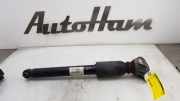 Stoßdämpfer Links Hinten 33526883839 BMW 1 serie (F20) Schrägheck 5-drs 116d 1.5 12V TwinPower (B37-D15A) 2017