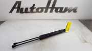 Gasdruckfedern Set Hinten 9673083680 Peugeot 208 I (CA/CC/CK/CL) Schrägheck 1.4 HDi (DV4TD(8HP)) 2013