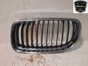 Grill 51137201967 BMW 3 serie Touring (E91) Kombi 320i 16V (N43-B20A) 2010