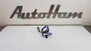 Lambdasonde F1FA9G444JA Ford Kuga II (DM2) SUV 1.5 EcoBoost 16V 182 4x4 (M9MA) 2017