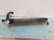 Auspuff Endtopf 201007889R Renault Twingo III (AH) Schrägheck 5-drs 1.0 SCe 70 12V (H4D-400(H4D-A4)) 2016-09