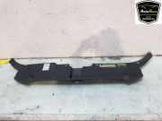 Schließplatte Kühlerträger 8R0807081A Audi SQ5 (8RB) SUV 3.0 TDI V6 24V (CVUC) 2013-07